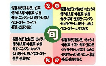 ＜10回定期便＞旬のラッキー7野菜セット（野菜7種詰合せ）　【11218-0135】