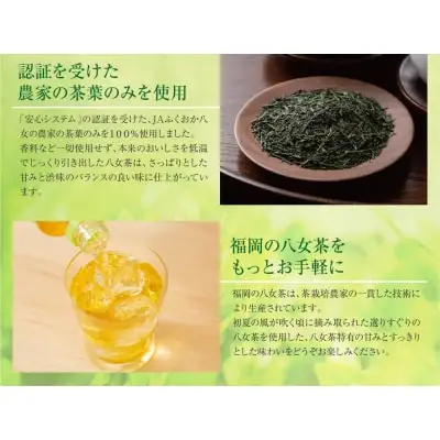 Z26-81 寄附額改定↓↓ 八女茶 煎茶ペットボトル(24本)定期便(隔月×3回)  お茶 大容量 ペットボトル