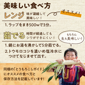 【先行予約】白いとうもろこし 奥州ペルル ( ホワイトショコラ ) 10本【数量限定】2026年7月中旬から出荷 離島配送不可 [T0012]
