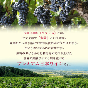 父の日 ワイン 信州ワイン 赤 ソラリス 千曲川 メルロー 750ml×6本 日本ワイン 赤ワイン マンズワイン 酒