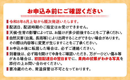 先行予約 数量限定 南国 宮崎 完熟マンゴー 3L × 2玉 A級品 化粧箱入り _DB31-24