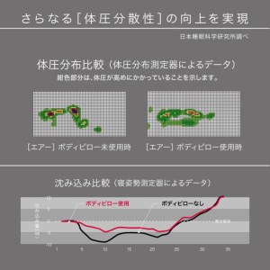 エアー ボディー ピロー (抱き枕) ハード ロング タイプ 【P254W】 抱き枕 ピロー