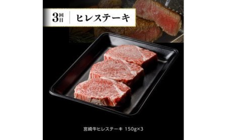 牛肉 【定期便】宮崎牛６ヶ月定期便Ｂ ミヤチク 牛肉