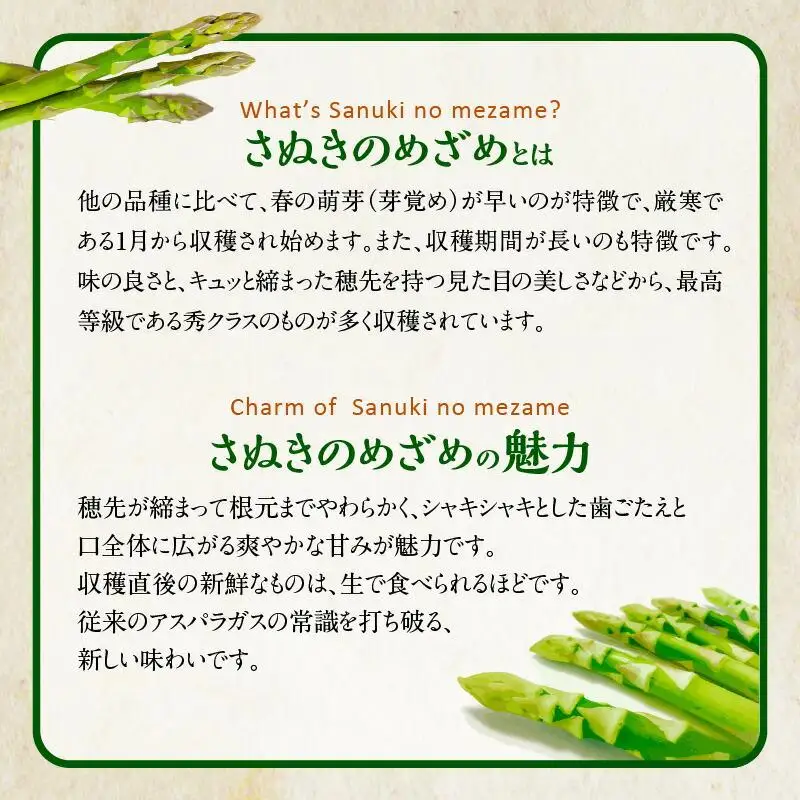 香川県産アスパラガス定期便M