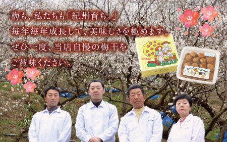 紀州南高梅　うす塩【ハチミツ無】 塩分10%（1.5kg）なかやまさんちの梅干　うめ　ウメ【nky003-115k】