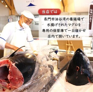 (1274)油谷産養殖本マグロ 中トロ柵 500g
