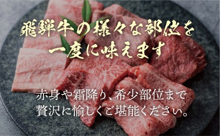 飛騨牛 焼肉6種食べ比べ 希少部位 各100g 飛騨牛 [Q1034x]