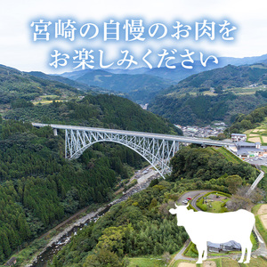 宮崎牛 ヒレステーキ(計450g・150g×3枚)国産 宮崎県産 宮崎牛 牛肉 ステーキ 霜降り A4 和牛 ブランド牛 ヒレ肉【MI012】【(株)ミヤチク宮崎加工センター】