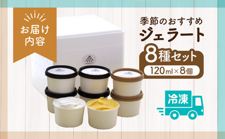 季節のおすすめ ジェラート 8種 セット 120ml×8個 8個 8種類 詰め合わせ 食べ比べ ジェラート専門店 リッチミルク ジェラテリア カップ アイス スイーツ デザート 冷凍 菓子 お菓子 おやつ グルメ お取り寄せ ギフト