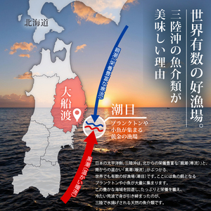 むき身牡蠣 480g 加熱用 冷蔵 かき