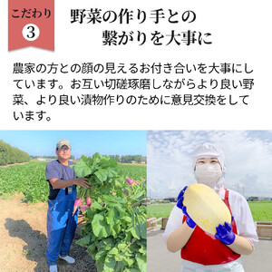 食べきり漬物8品セット