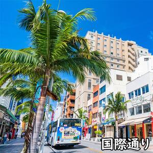 那覇市周遊！貸切観光タクシーフリー利用券(4時間)