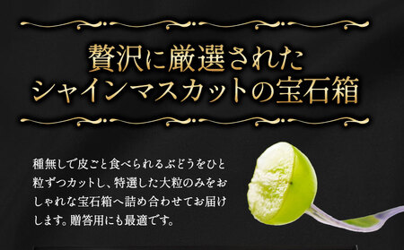 たたらみねらるシャインマスカット  煌めく果粒の宝石箱 32粒