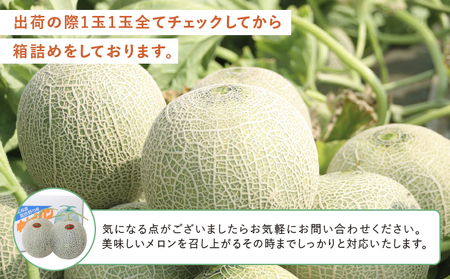 テレビで紹介されました！【2026年夏発送】北海道 富良野産 赤肉メロン 2玉 計3.2kg以上 大玉サイズ メロン