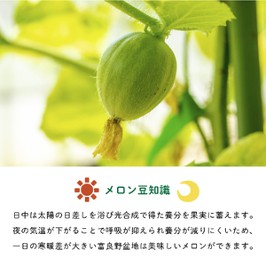 【2026年8月発送】JAふらの 赤肉メロン 2玉 計4kg 富良野市 メロン フルーツ 果物 