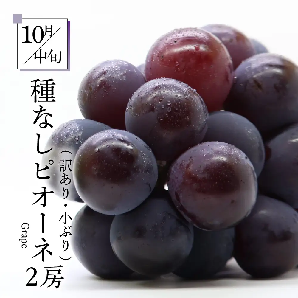 【2026年7月発送開始】フルーツ定期便 5回 よくばりセット　訳ありセット | フルーツ定期便