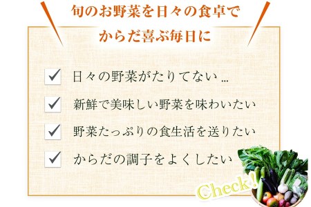 【2026年6月より順次発送】 曽爾高原野菜５種５品～小さなご家庭食べきりサイズ～を５ヶ月連続でお届けします 野菜定期便