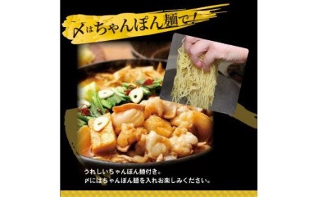 やまや　博多もつ鍋　こく味噌味（1～2人前）_TY0901