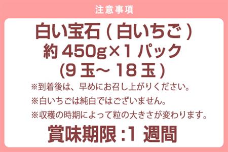 『先行予約』【令和9年2月上旬から4月下旬までにお届け】白い宝石 白いちご 450g 贈答用 いちご イチゴ 苺 フルーツ 果物 希少