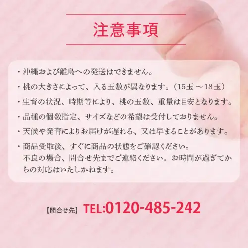 透過式光センサーあかつき桃 特秀5kg相当 15玉～18玉＜ ふくしま未来農業協同組合 ＞ | ふくしま 桃 福島 もも 国見 モモ ※2026年7月中旬～8月上旬頃に順次発送予定 ※沖縄・離島への配送不可