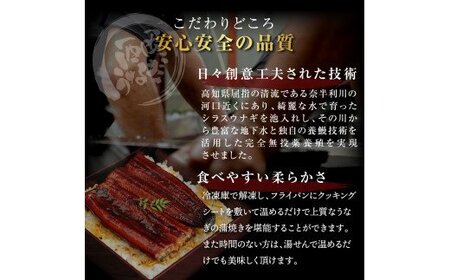 本気の高知ブランド鰻「西岡うなぎ」～上（大サイズ）～うなぎの蒲焼き2尾セット（約330g）タレ・山椒付き