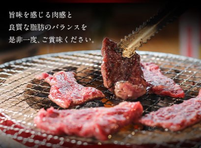 あか牛 上赤身焼肉用 1kg (250g×4個) 有限会社白水乃蔵《60日以内に出荷予定(土日祝除く)》 あかうし 赤牛 焼肉 冷凍 小分けパック