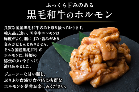 黒毛和牛ホルモン800g(200g×4袋) ブランド牛 有限会社トップルーフ《60日以内に出荷予定(土日祝除く)》