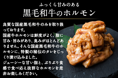 黒毛和牛漬け込みホルモン・ハンバーグセット（計7袋） 絶品 ブランド牛 黒毛和種 有限会社トップルーフ《60日以内に出荷予定(土日祝除く)》