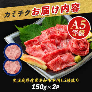まるで大トロ とろけるくちどけ A5等級鹿児島県産黒毛和牛牛刺し2種盛り300g カミチク IB112-007 牛肉 牛肉 