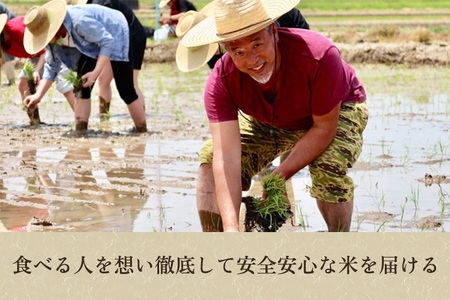 【令和7年産】[発芽玄米] 新潟産 発芽玄米4.8kg（600g×8個）《9月下旬〜順次出荷》