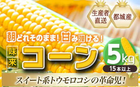 【先行受付】朝どれ!!都城産スイートコーン(味来コーン)5kg 15本以上_12-B401-6_(都城市) 朝どれ とうもろこし スイートコーン 5キロ 約15本以上 産地直送 みずみずしい あまい 