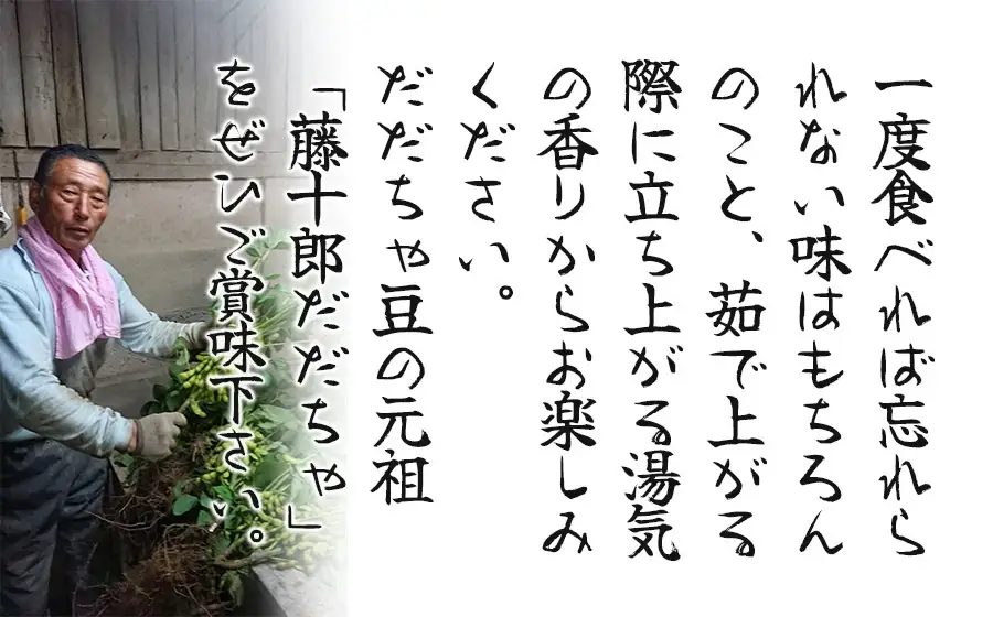 【令和8年産先行予約】”元祖”森屋藤十郎の白山産だだちゃ豆「晩生」　1kg（500g×2袋） 鶴岡特産 K-831