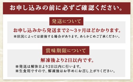 長崎県産 本マグロ「中トロ」約700g