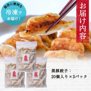 【訳あり・業務用】鹿児島県志布志産黒豚100％使用!南国熊曽黒豚餃子(60個) a1-060