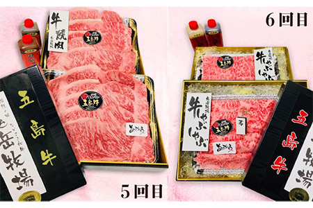 【6回定期便】五島牛タイプA（ソース付） 五島市/鬼岳牧場[PEK029] 国産牛 牛肉 ブランド牛 セット