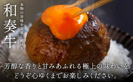 厳選くまもと黒毛和牛ハンバーグ 5個 (1個150g)《30日以内に出荷予定(土日祝除く)》和牛焼肉LIEBE くまもと 黒毛和牛 ハンバーグ