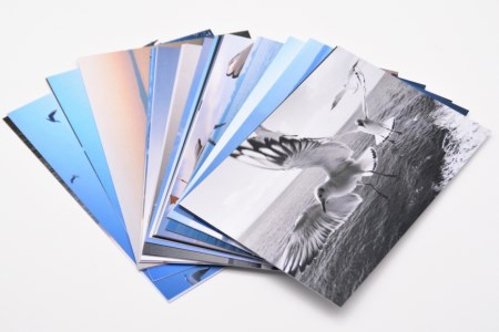 BF218 絵葉書セット「KAMOME」