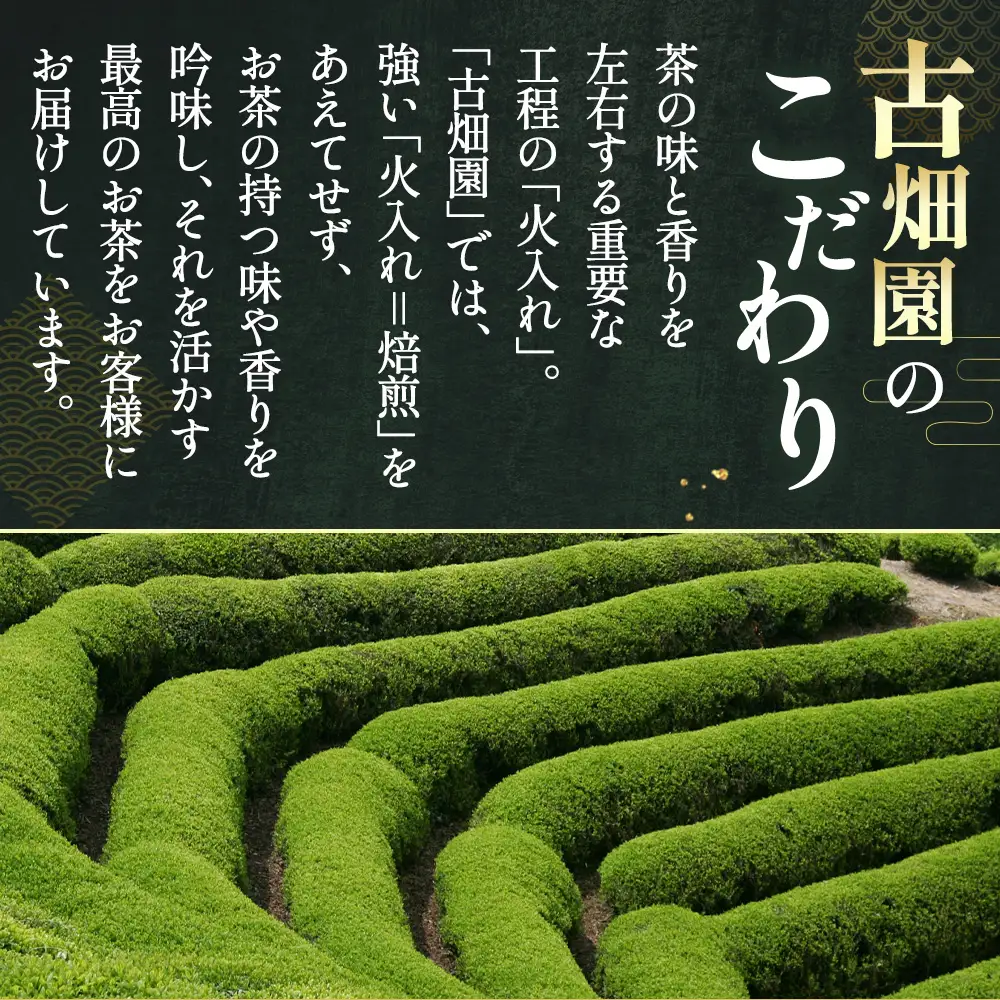 特別金賞受賞 宇治抹茶 琴