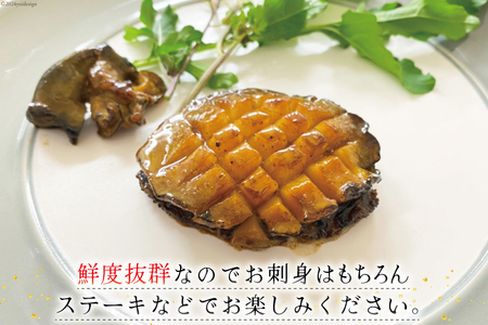 【期間限定発送】 海鮮 魚介 三陸 天然 活 アワビ Mサイズ 800g(6～7個入) [マルヤ五洋水産 宮城県 南三陸町 30al0010]