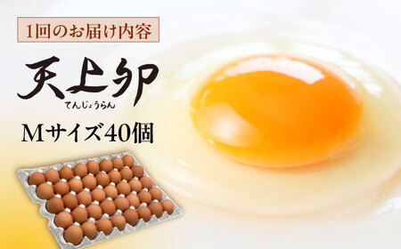 【 全3回 定期便 】  平飼い 卵  「 天上卵 」 40個 セット 《糸島》【株式会社おおはまファーム】[AKH006]
