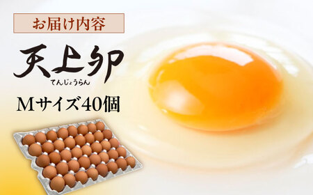 平飼い 卵  「 天上卵 」 40個 セット 《糸島》 【株式会社おおはまファーム】 [AKH005] 鶏卵 平飼い 平飼い卵 玉子 たまご 高級 自然 新鮮 自家配合飼料