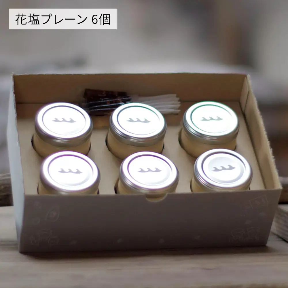 しおが主役 しおをかけてたべる プリン 花塩 プレーン 6個 セット 糸島市 / またいちの塩 [AEB001] ランキング 上位 人気 おすすめ