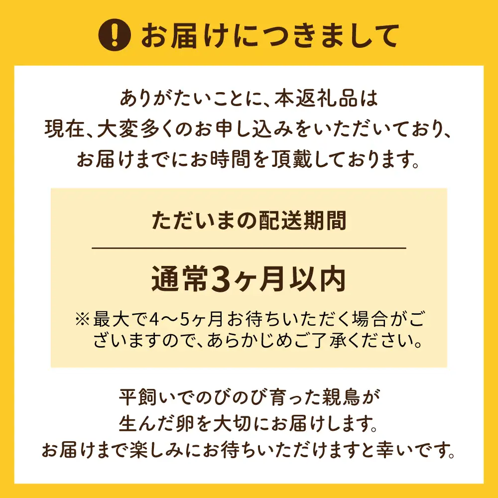  つまんでご卵 卵 大サイズ 20個 セット  [AGA008] たまご