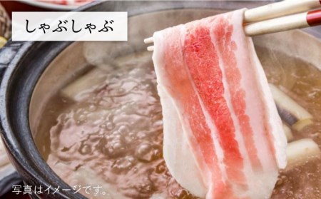 JA糸島 黒毛和牛 糸島豚 すき焼き しゃぶしゃぶ セット 糸島市 / JA糸島産直市場 伊都菜彩 [AED010]