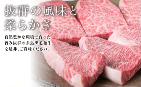 【極上 ステーキ】合計 600g (6枚入) ハネシタロース ランプ A4ランク 糸島 黒毛和牛 【糸島ミートデリ工房】[ACA041] 希少 ステーキ ランプ ロース 牛肉 赤身 国産 和牛 黒毛和牛