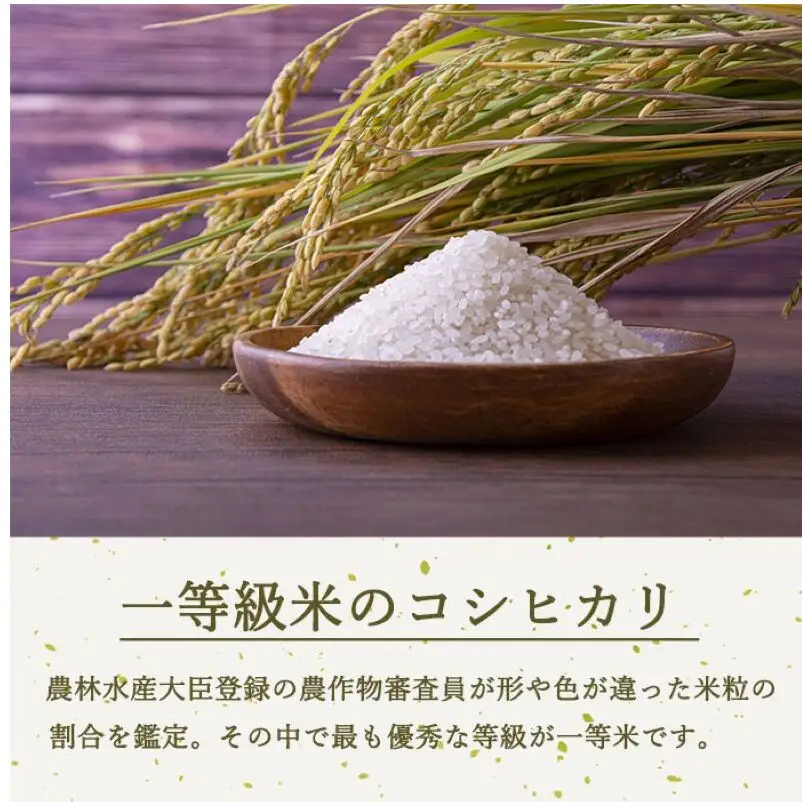 定期便 12ヶ月 ベストファーマーズ賞受賞 コシヒカリ 無洗米 2kg 無農薬 無添加 令和8年産 お米 チャック付 チャック 小分け 少量 少量パック 白米 精米 一等米 産地直送 送料無料 長野 定期 12回