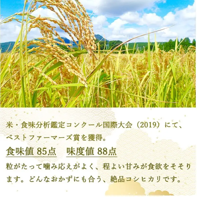 ベストファーマーズ賞受賞 コシヒカリ 無洗米 2kg 無農薬 無添加 令和7年産 お米 チャック付 小分け 少量 少量パック お試し 白米 精米 産地直送 一等米 送料無料 長野 長野県 小諸市