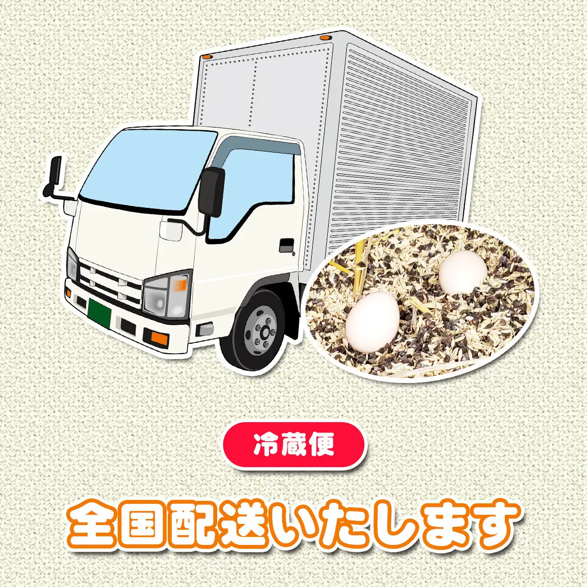 平飼い 東京うこっけいのたまご １４個＋２個 ANAI001
