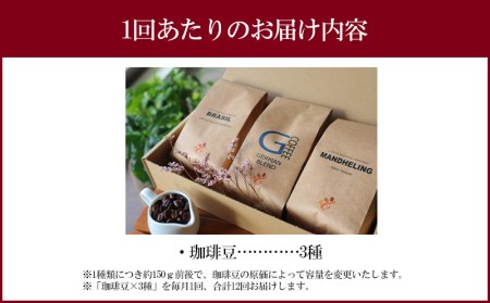 定期便 焼き立て 自家焙煎 珈琲豆 おまかせ 3種類セット 12ヶ月コース