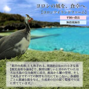 奄美 黒ほろほろ鳥  もも 2枚